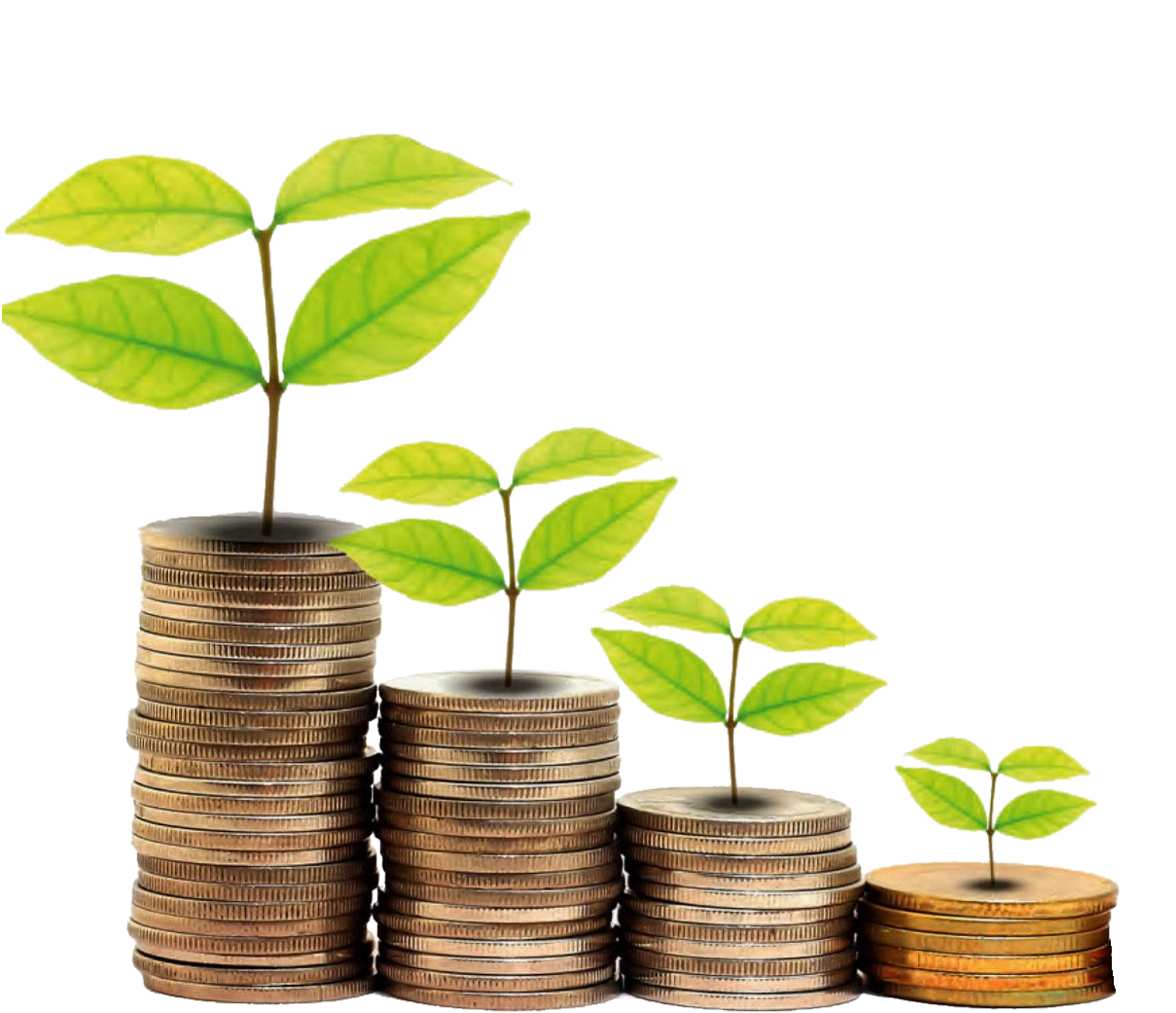 Finanzen in V11